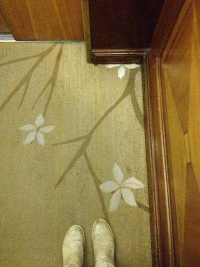 エレベーターは古くて狭い昔ながらの感じ。絨毯が可愛い