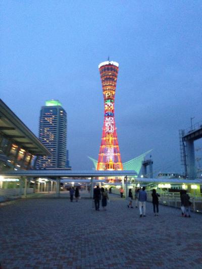 ライトアップが綺麗