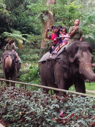 象に乗れるシンガポール動物園