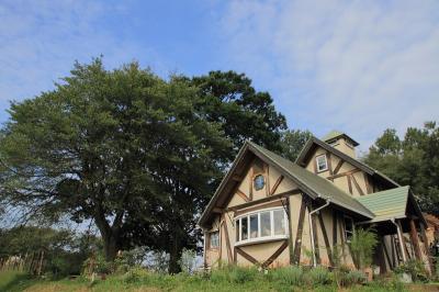 小さな丘の上に立つ可愛いカフェ！