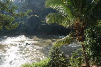 部屋よりの眺め