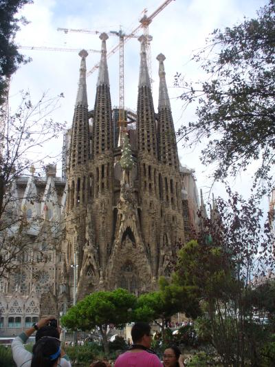 期待は裏切りません！