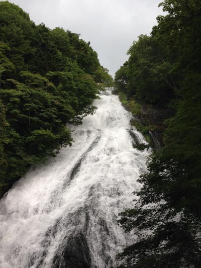 迫力満点！湯滝！