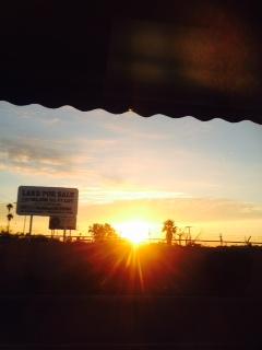 早朝、レセプションからの朝日。