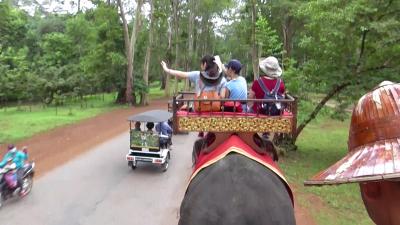 はじめての象乗り体験