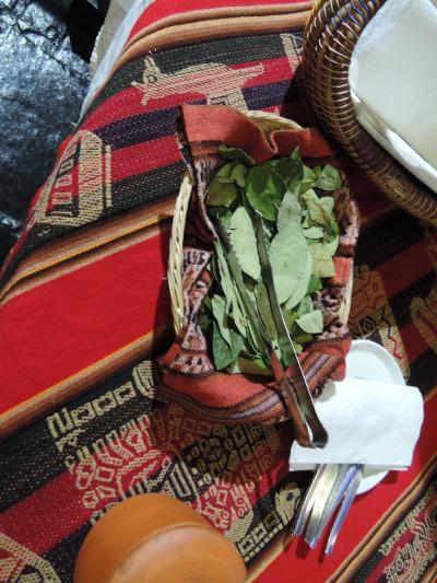 ロビーにおいてあったコカ茶用の葉