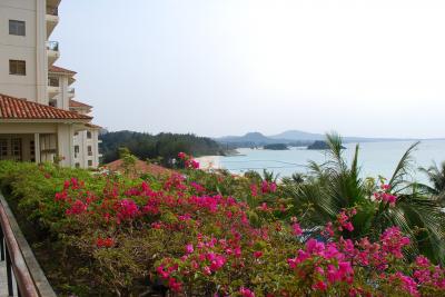 お花がきれい！！