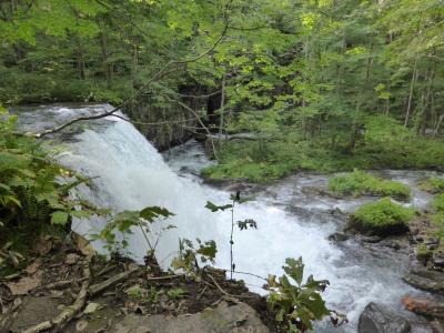 爽やかで気持ちのいい散歩道
