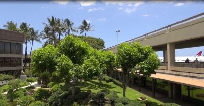 オープンエアーで気持ち良い空港