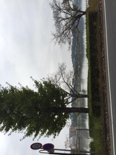 のんびりしてます