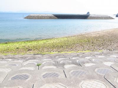 瀬戸内海が好きになりました