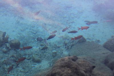 コテージからの海