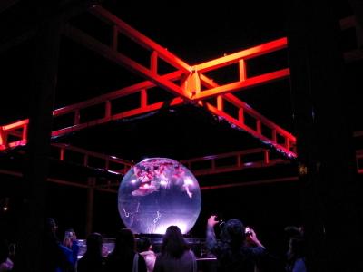 二条城と金魚さん　アートアクアリウム城