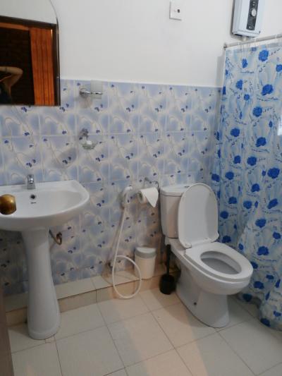 トイシャワー。付いてた石鹸がいい香り。コホンバという緑の石鹸