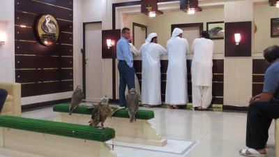 アラブの国では鷹は家族同然。異国の文化に触れられて面白い