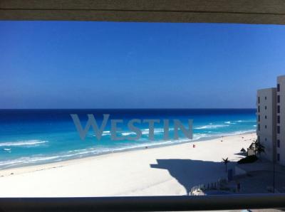 出来たてのホヤホヤ