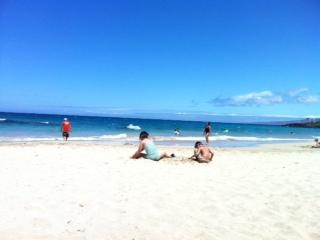 ウミガメにも遭遇しました