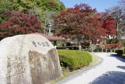 穴場と言っては失礼かな？　曽木公園