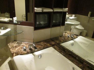 バスルームにテレビがあります。シャワールームもあります。