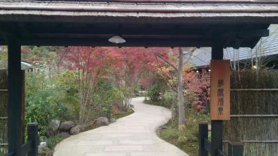 森に囲まれた露天風呂とロウリュウサービスがある箱根湯寮