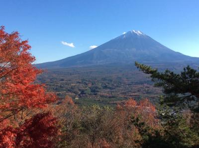 富士山の樹海一望