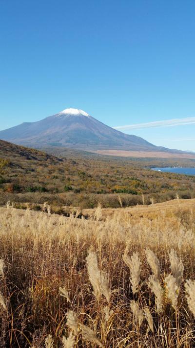 初めて見た山中湖から富士山は、絶景！