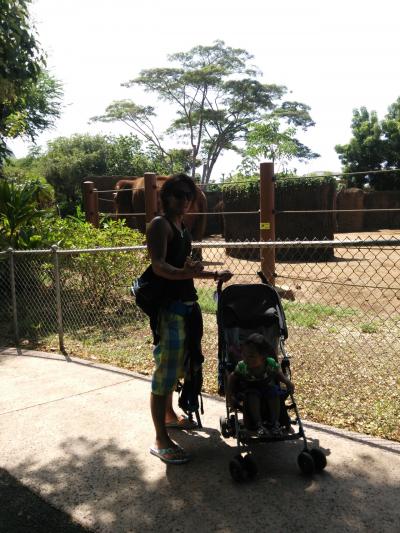 ホノルル動物園