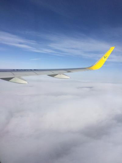 初LCC&#8252;&#65038;