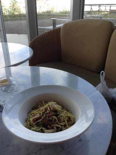 高齢者向けです