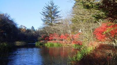 軽井沢の紅葉の名所です