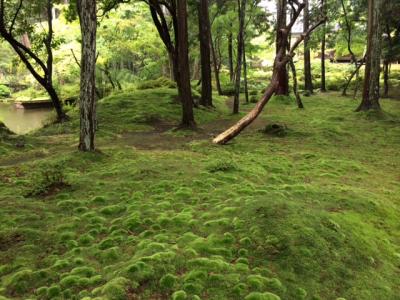 要予約！スティーブ･ジョブスも愛した苔寺