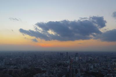 屋上デッキからの景色は最高です