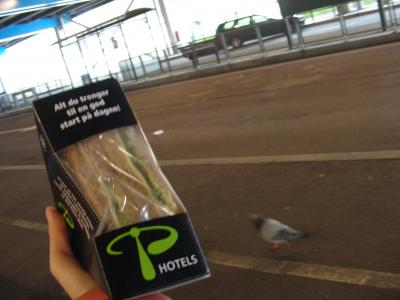 フィヨルド観光は朝が早いので助かる