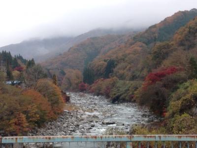 落ち着いて紅葉を満喫できました