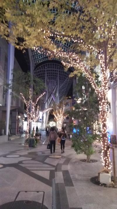 きれいなライトアップ