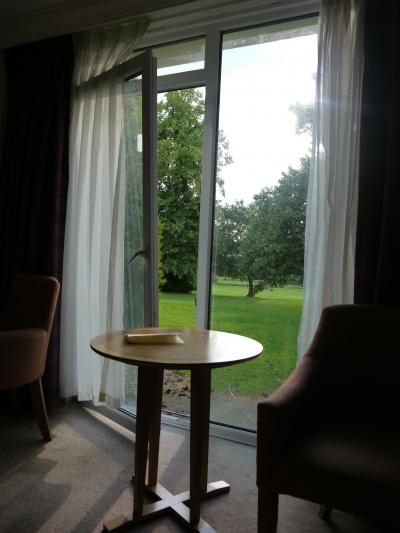 部屋からリスを見つけました