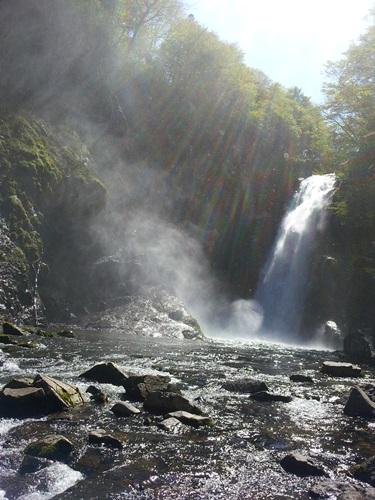 近くまで行ける滝