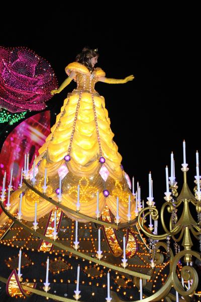 東京ディズニーランドと比べるとスケール小さい