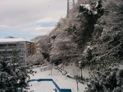 子供連れや大人数にぴったり