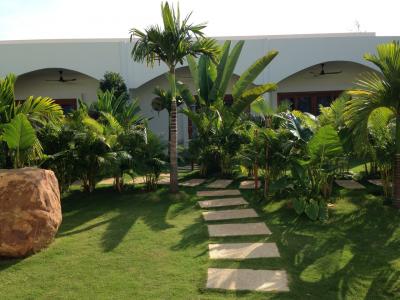 ジャングルの中のリゾート