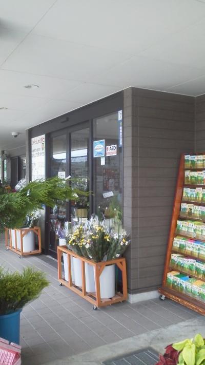 やや小さめの道の駅