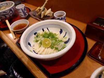 醤油が旨い　うどんやさん