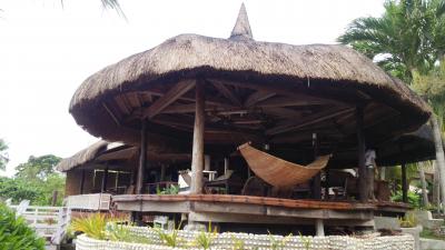 このハンモック一日寝ておけます