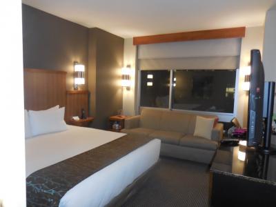 ハイアット プレイス ニューヨーク ミッドタウン サウス