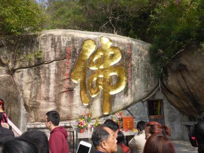 人がいっぱい　裏山から植物園に抜けることができます