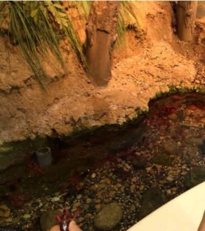 予想以上に楽しかったです。