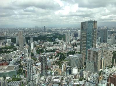 展望台登って来ました