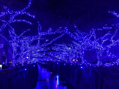 幻想的な青の世界