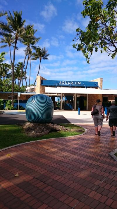 意外に楽しめた水族館