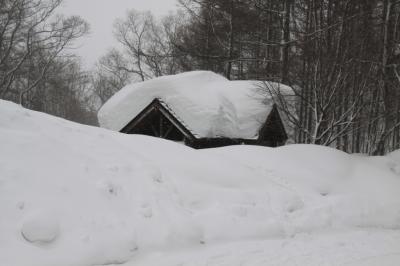 メープルホスト